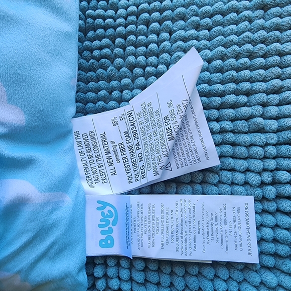 Bluey Character Pillow 11x15in - Picture 6 of 6